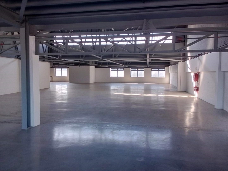 To Let commercial Property for Rent in Diep River Western Cape